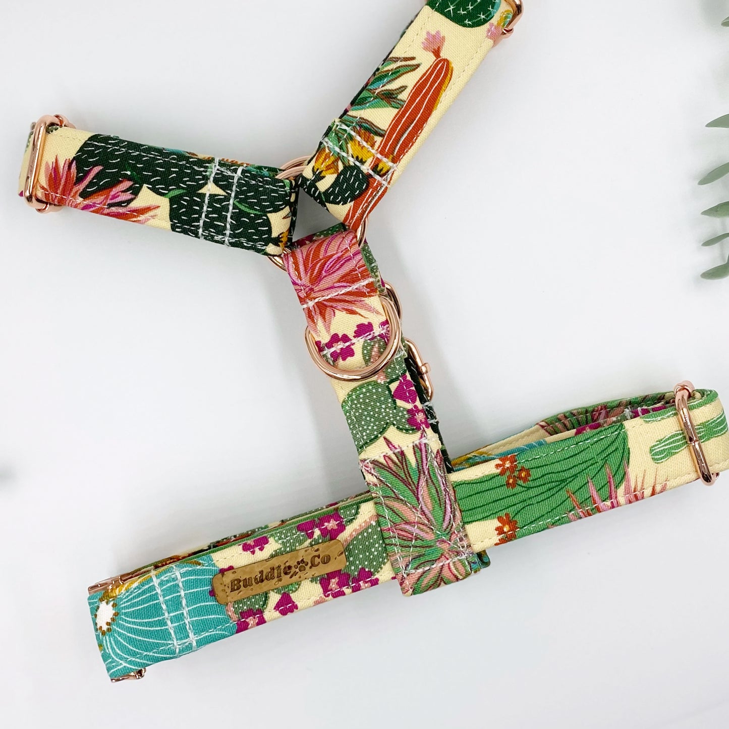 The 'Margarita' Strap Harness