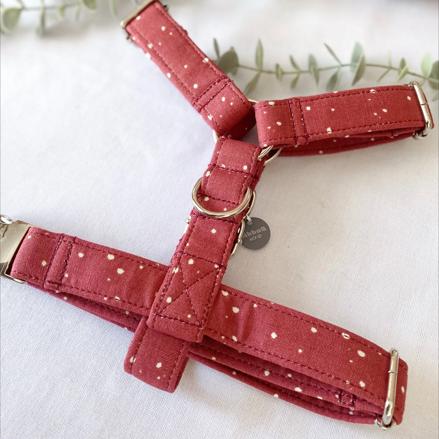 The 'Riley' Strap Harness