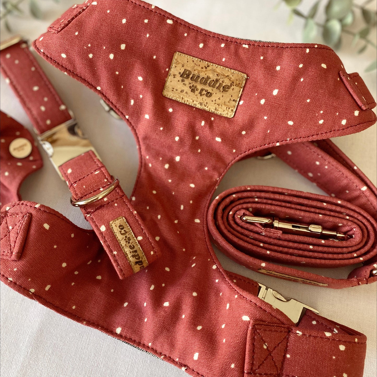 The 'Riley' Chest Harness