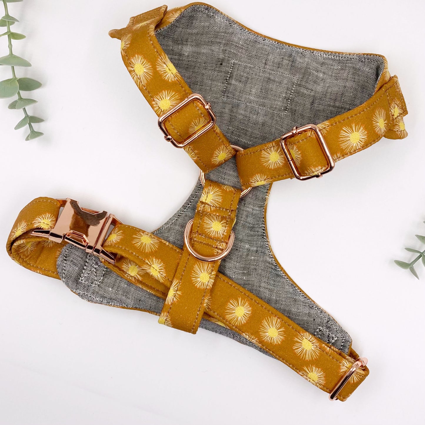 The 'Acacia' Chest Harness