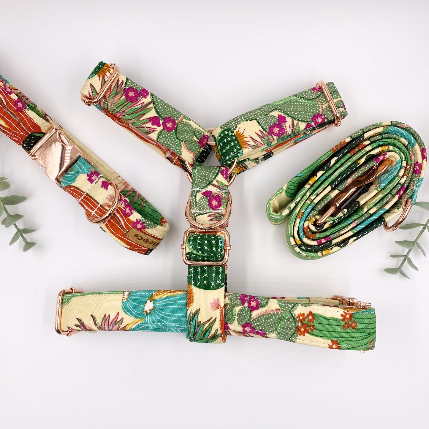 The 'Margarita' Strap Harness