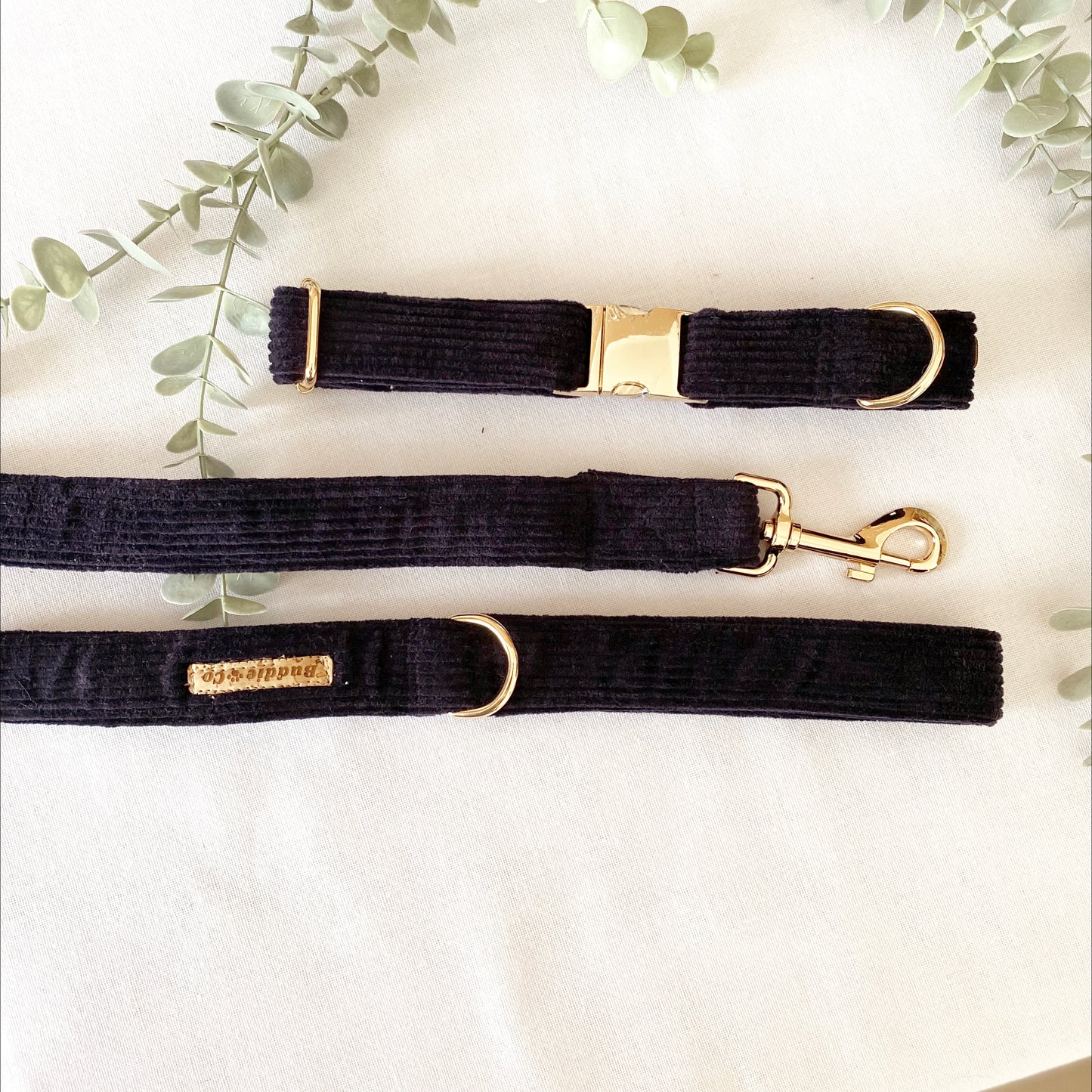 The 'Denver' Collar