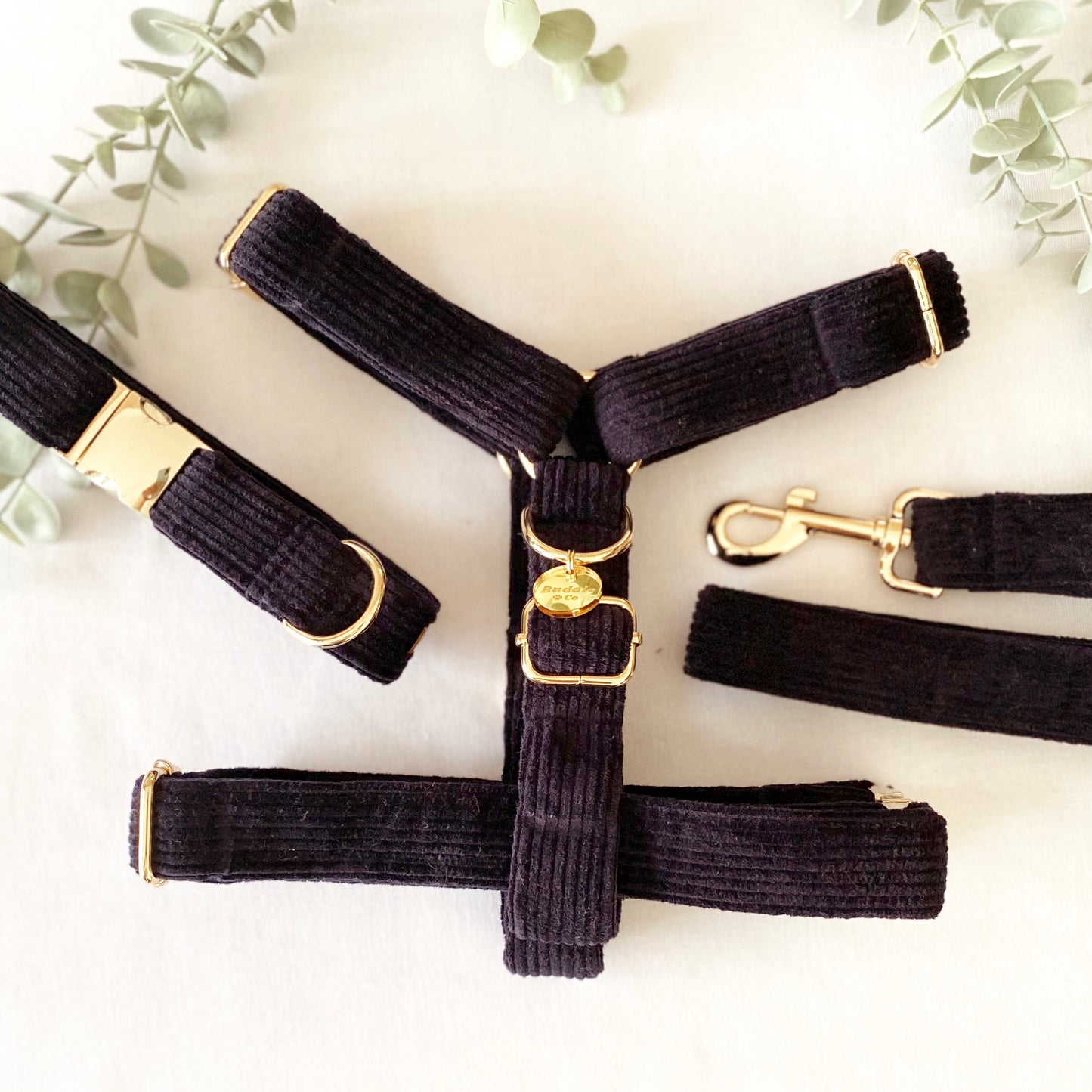 The 'Denver' Collar Bundle