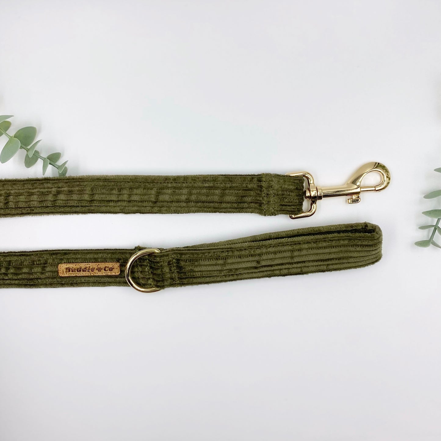 The 'Oliver' Collar Bundle
