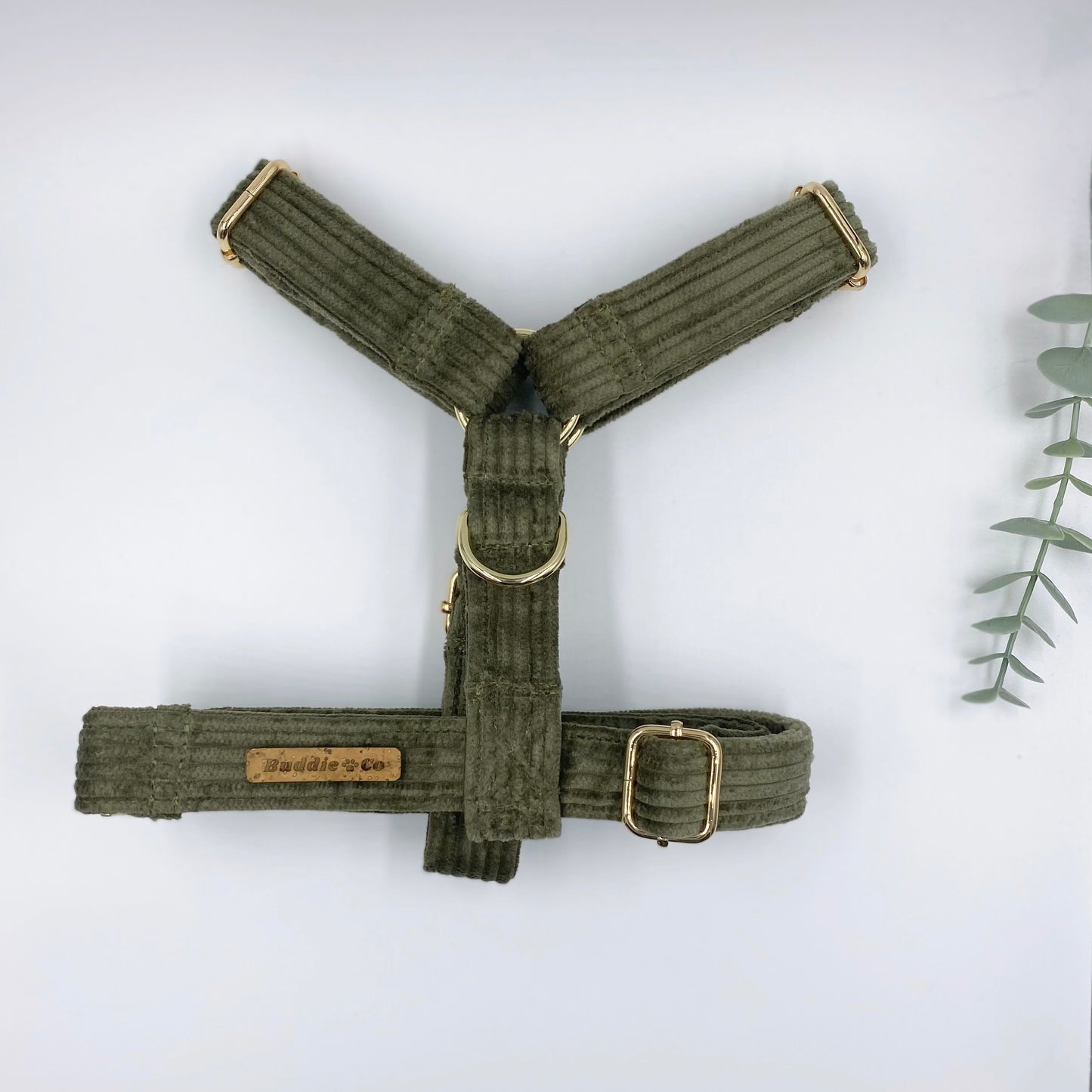 The 'Oliver' Strap Harness