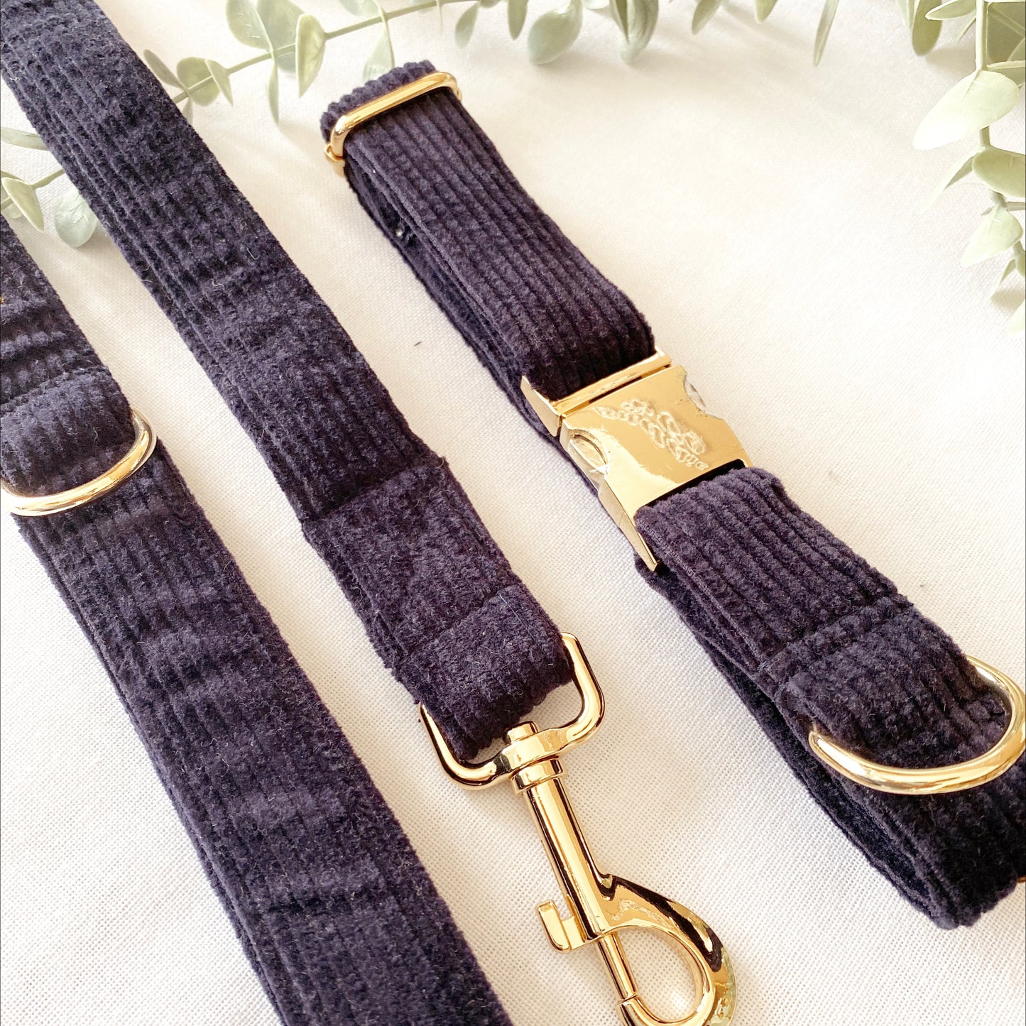The 'Denver' Collar