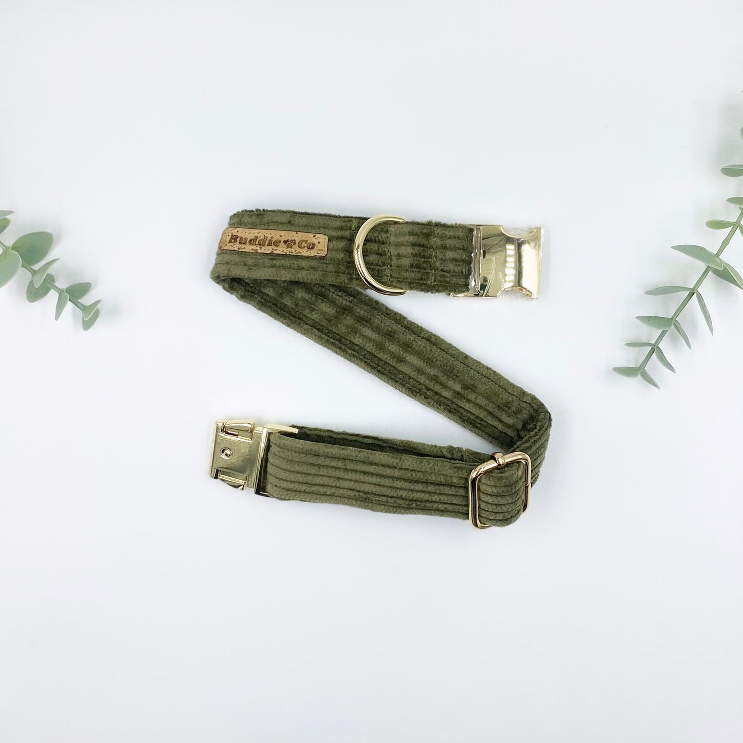 The 'Oliver' Collar Bundle