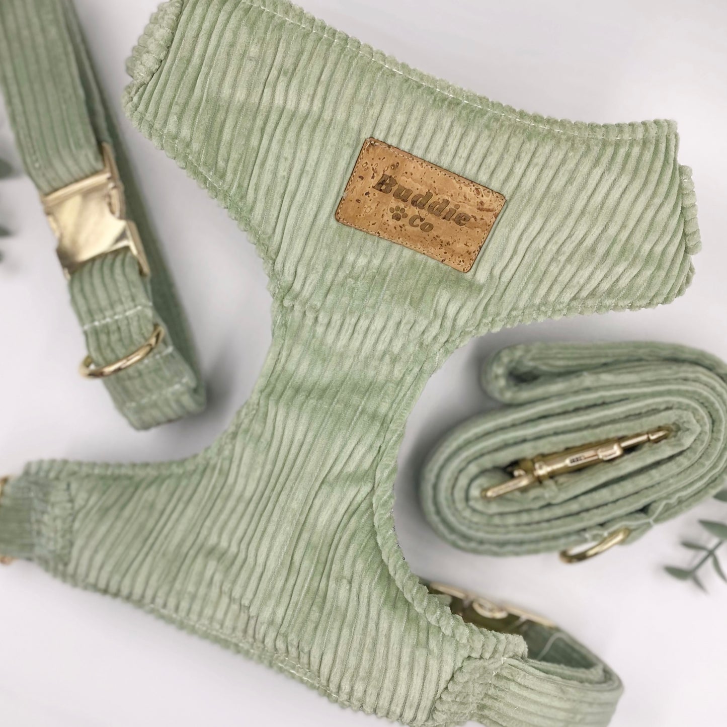The 'Frankie' Chest Harness Bundle