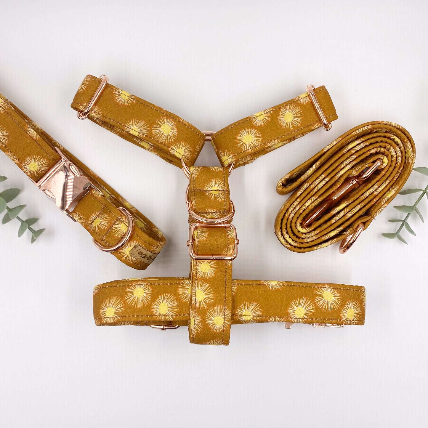 The 'Acacia' Strap Harness