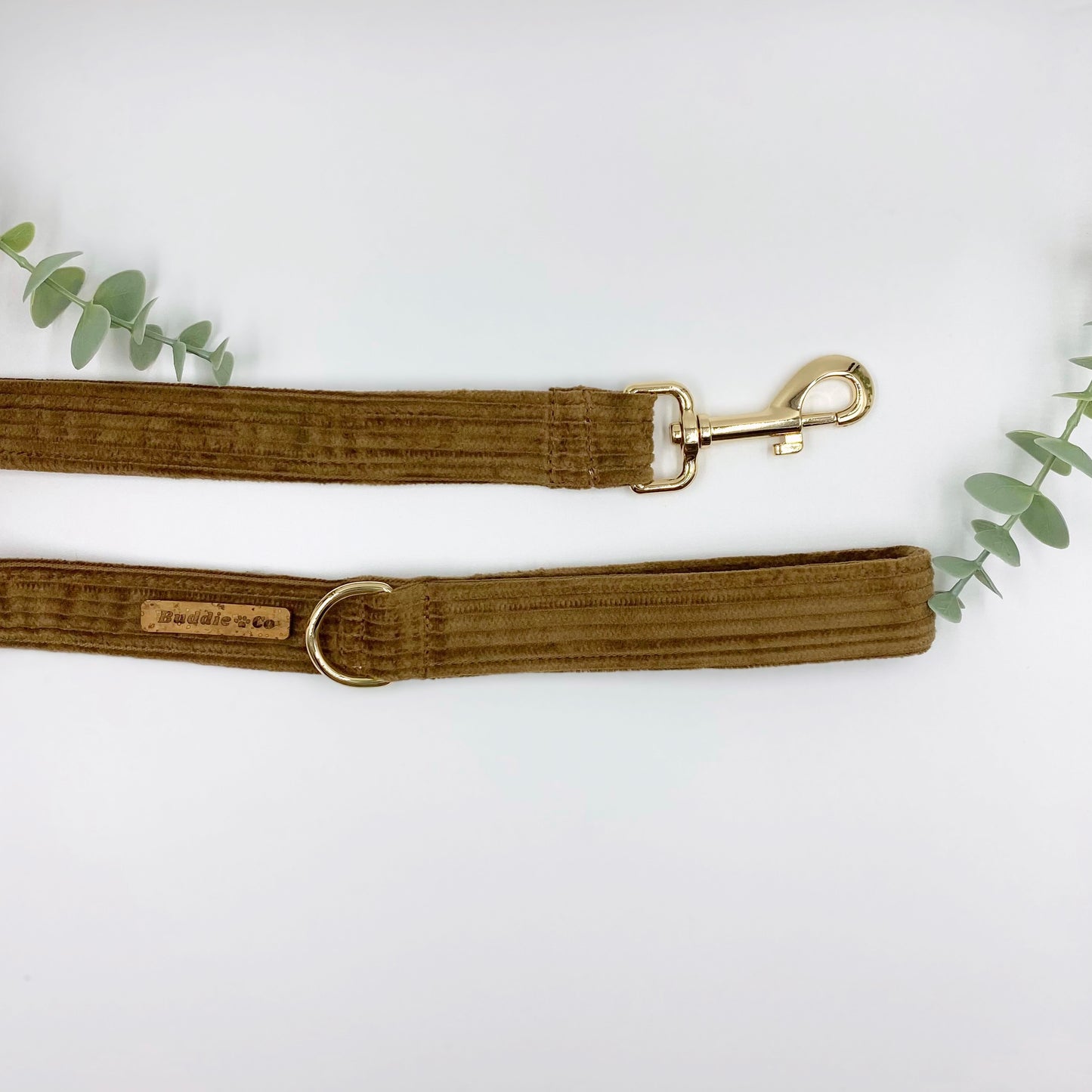 The 'Teddy' Collar Bundle