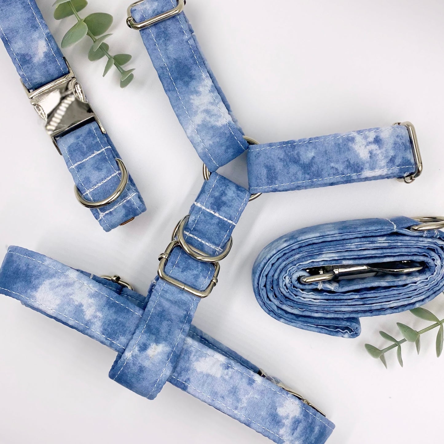 The 'Chadwick' Collar
