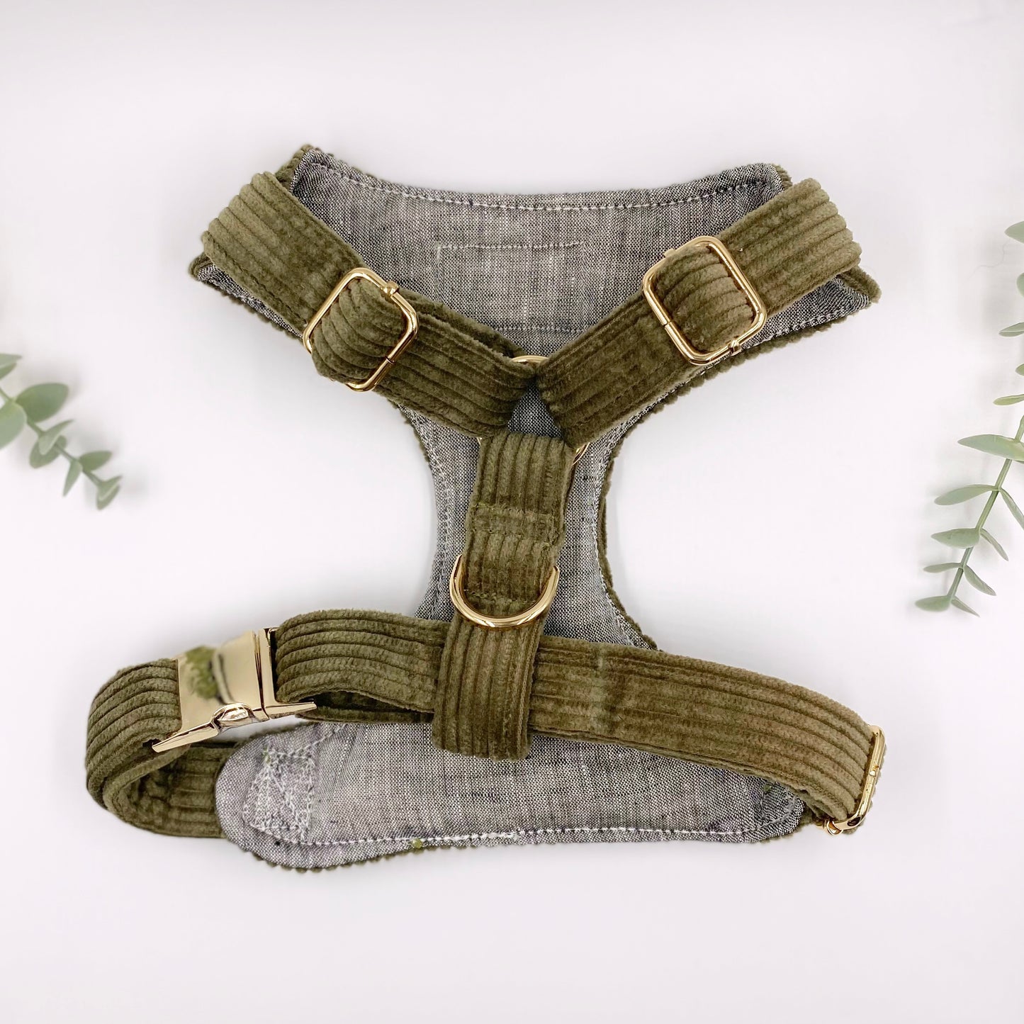The 'Oliver' Chest Harness