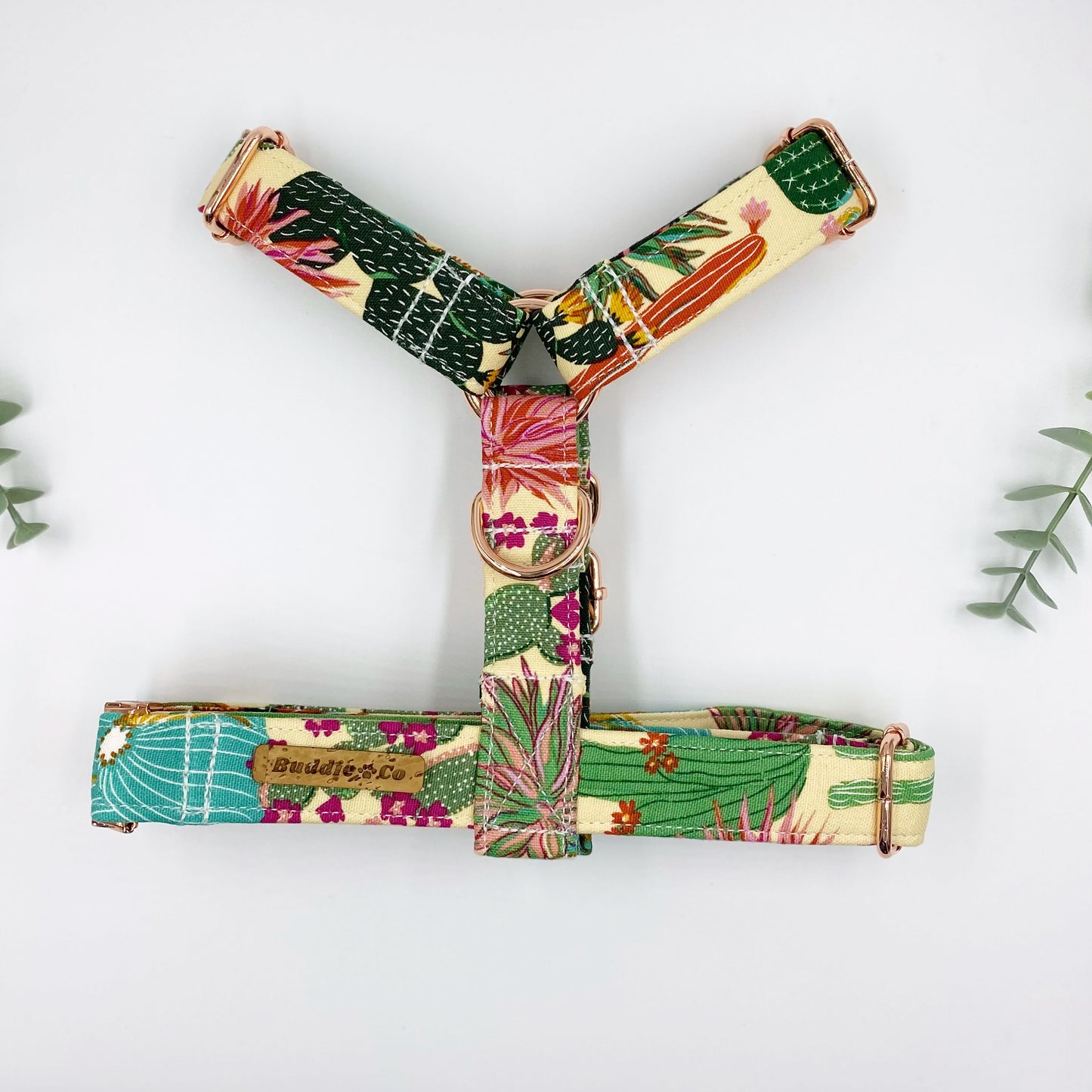The 'Margarita' Strap Harness Bundle