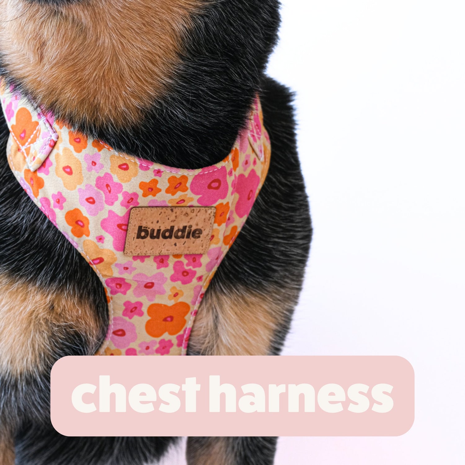 Chest Harness