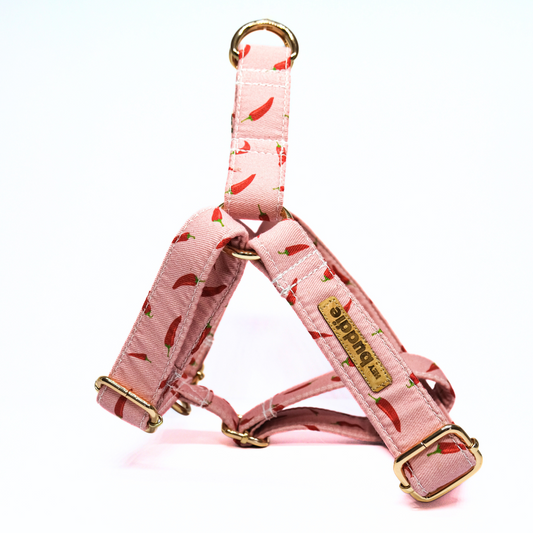 The 'Chillie' Step In Harness