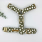The 'Spot' Strap Harness
