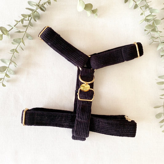 The 'Denver' Strap Harness