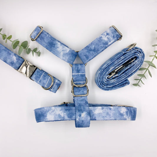 The 'Chadwick' Strap Harness Bundle