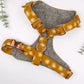 The 'Acacia' Chest Harness