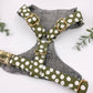 The 'Spot' Chest Harness Bundle