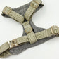 The 'Juniper' Chest Harness