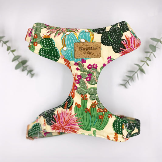 The 'Margarita' Chest Harness