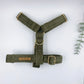 The 'Oliver' Strap Harness