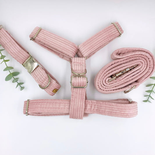 The 'Chelsea' Strap Harness Bundle