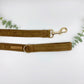 The 'Teddy' Collar Bundle