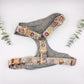 The 'Abigail' Chest Harness