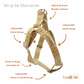The 'Oliver' Step In Harness Bundle